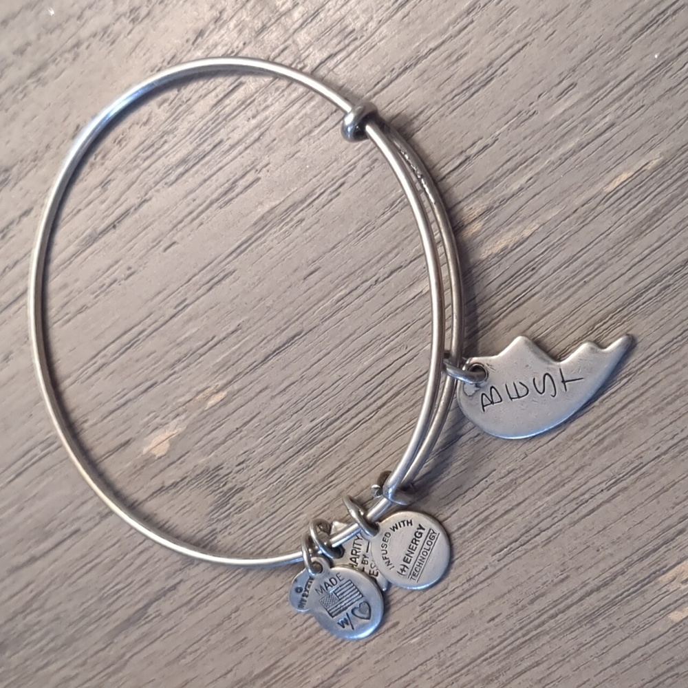 Alex and Ani best charm bracelet